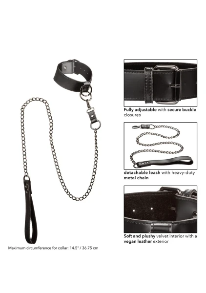 Euphoria Collection Collar with Chain Leash