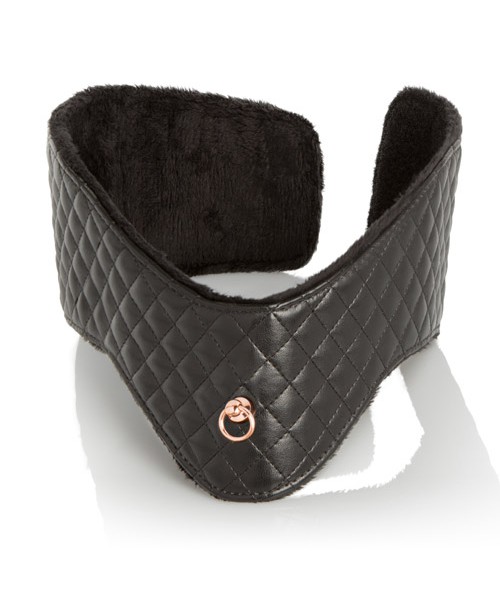 Entice Posture Collar with Leash
