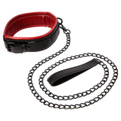 Sportsheets S M Saffron Leash Collar