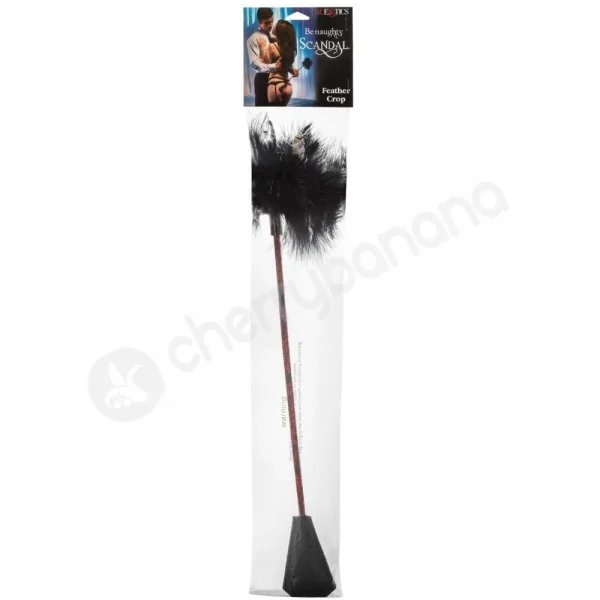 Scandal Double Ended Crop & Feather Tickler