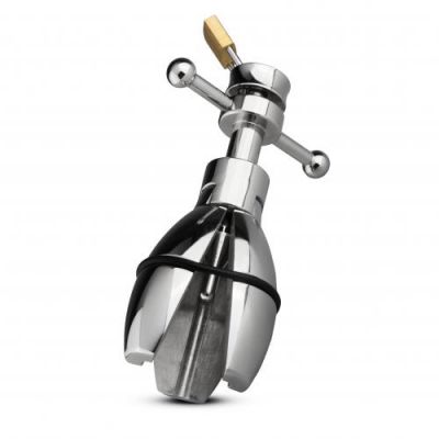 Anal Spreader Butt Plug Metal