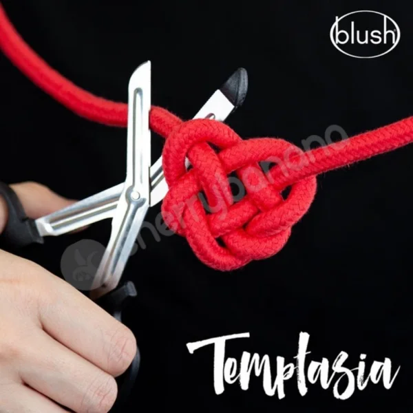 Temptasia Safety Bondage Scissors