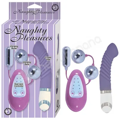 Naughty Pleasures Purple Sex Toy Kit