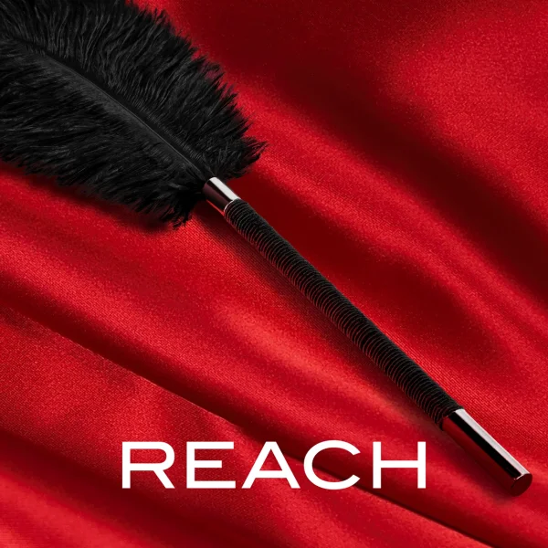 Blush Noir Soft Feather Tickler