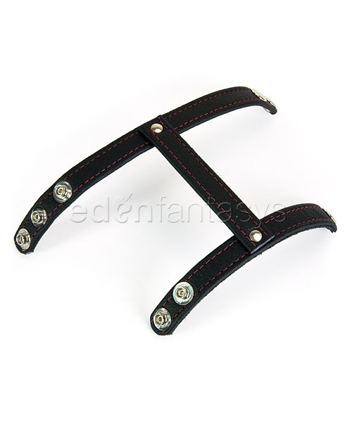 Cock and ball harness