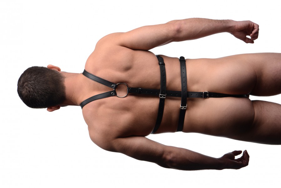 Male Full Body Harness