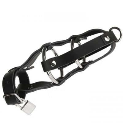 Bondara Leather Cock Ring Chastity Cage
