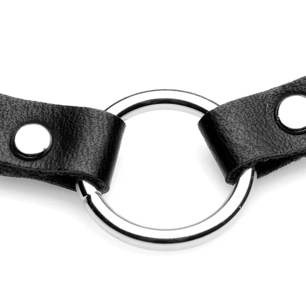 Master Series Lush Pet Silver Ring Slim choker