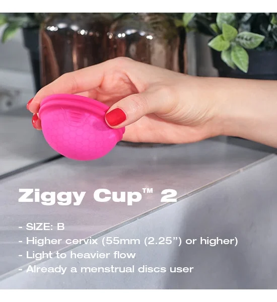 Intima Ziggy Cup 2