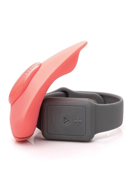 Companion Panty Vibe