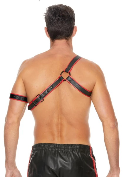 Gladiator Harness