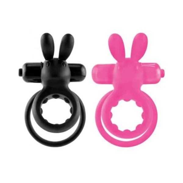 The Ohare Ring 6 Pieces Assorted Display