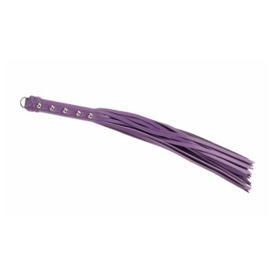 20 Leather Strap Whip
