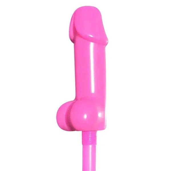 Bachelorette Party Favours Bendable Pecker Straws (8 pack)