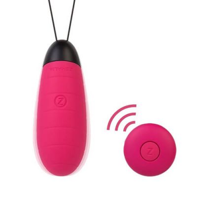 Remote Control Vibrating Love Egg