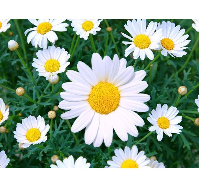 #Test Product