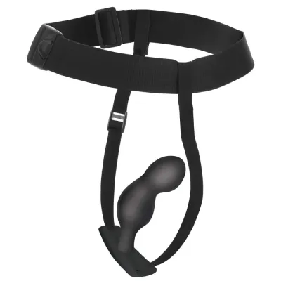 Master Series Vibrating P Spot Plugger and Harness