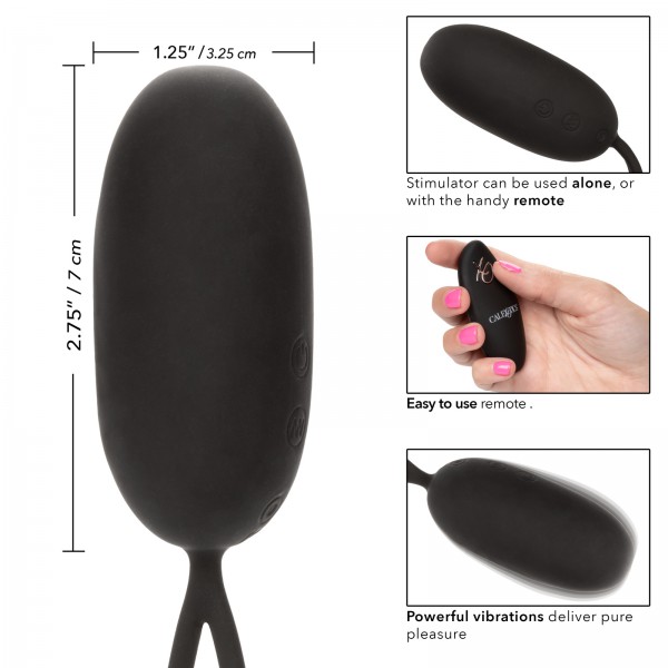 Remote Egg Vibrator