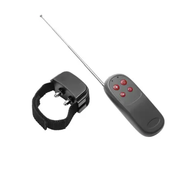 Cock Shock Remote Control CBT Electric Cock Ring
