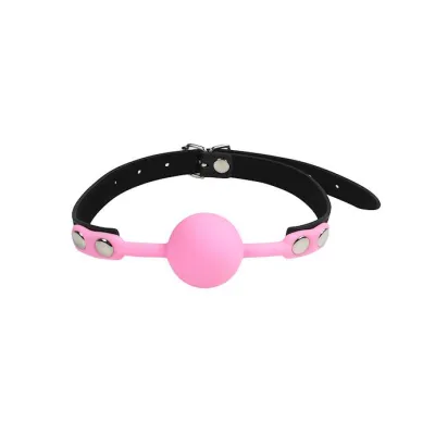 The Classic Ball Gag Pink