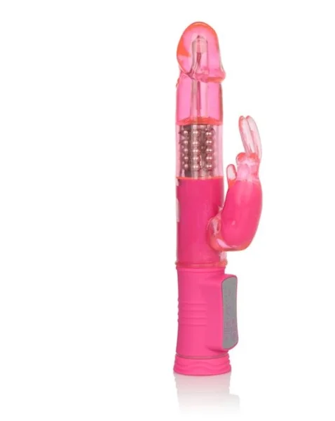 Shanes World Jack Rabbit