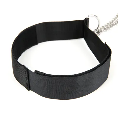 Lux Fetish Collar Nipple Clips Set