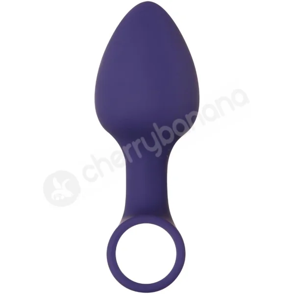 Evolved Dynamic Duo Blue 2 Sized Butt Plugs With Interchangeable Bullet Vibe