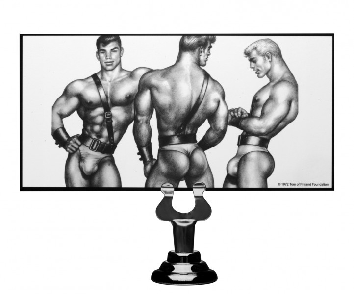Large Silicone Anal Plug