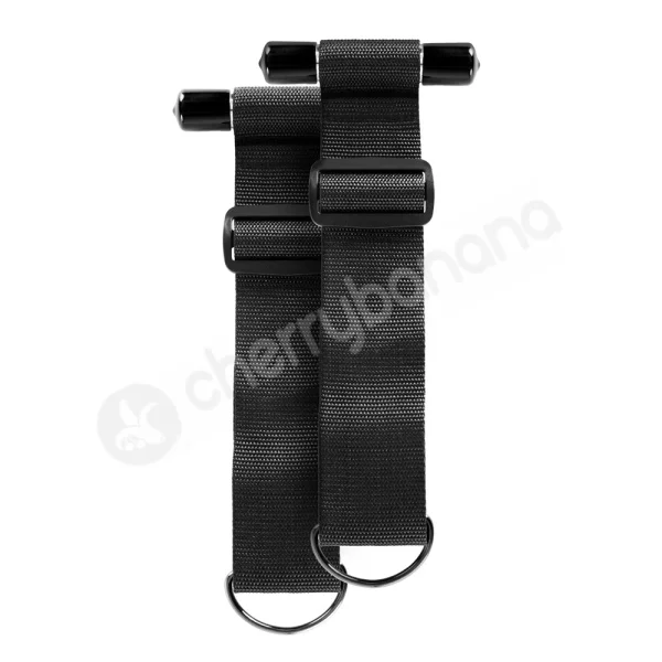 Sinful Black Door Restraint Straps