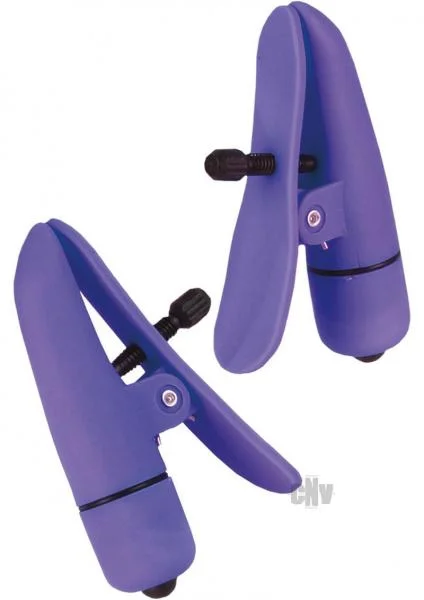 Nipple Play Nipplettes Clamps
