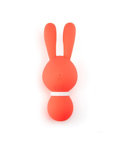 Wicked bunny — image 5 of 5
