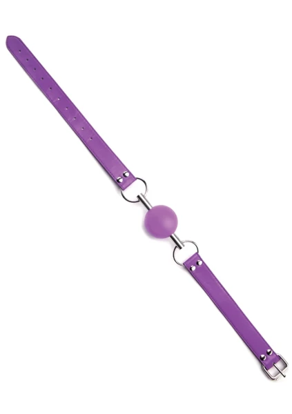 Solid Ball Gag - Purple -