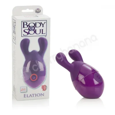 Body Soul Elation Purple Vibrating Massager