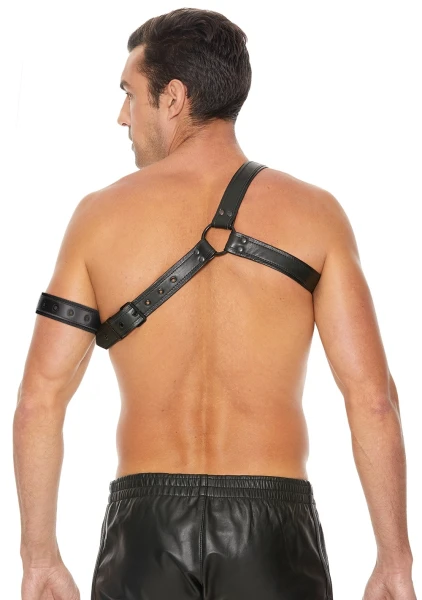 Gladiator Harness