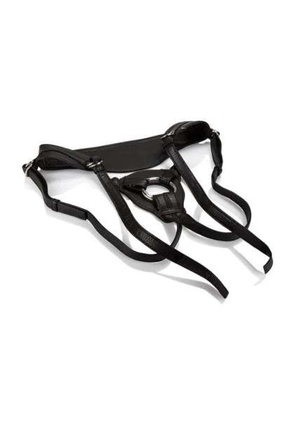 Her Royal Harness - The Queen