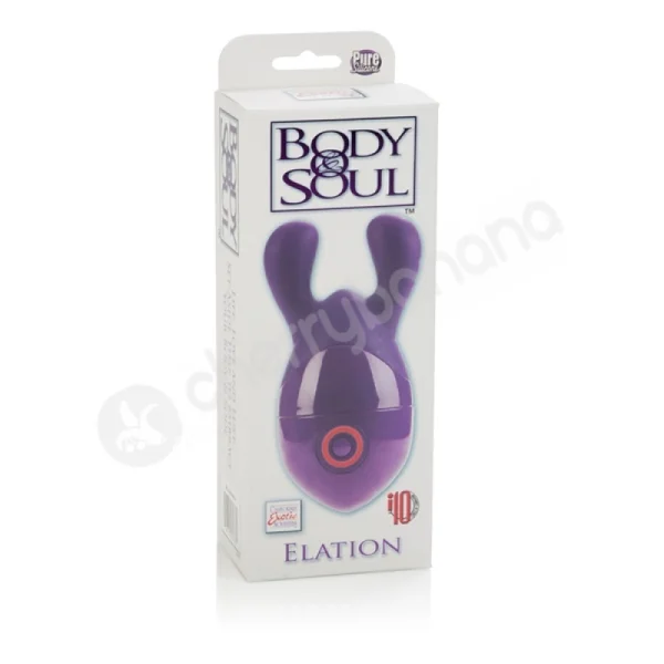 Body & Soul Elation Purple Vibrating Massager