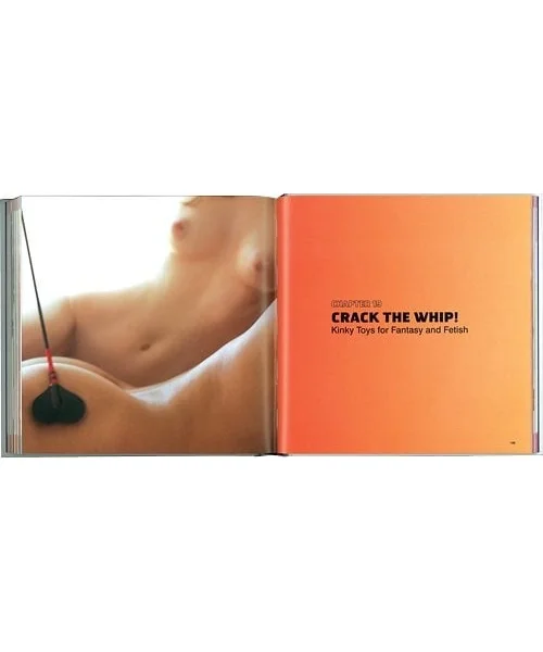 Big Book Of Sex Toys