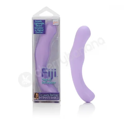 Dr Laura Berman Intimate Basics Fiji Dildo