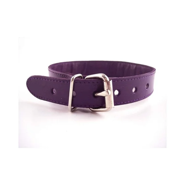 O-ring Studded Thin Collar - Purple — image 5 of 5