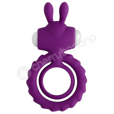 Cherry Banana Purple Rabbit Vibrating Cock Balls Ring