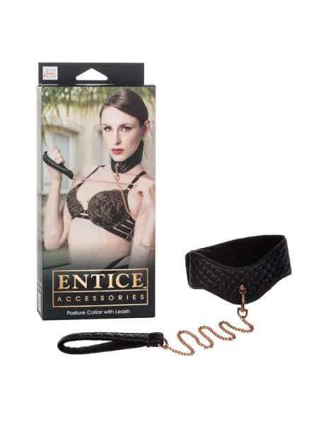 Entice Posture Collar with Leash