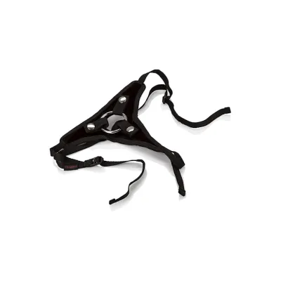 Her Royal Harness the Princess Black