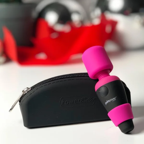 BMS Factory Palmpower Pocket Mini Wand Massager