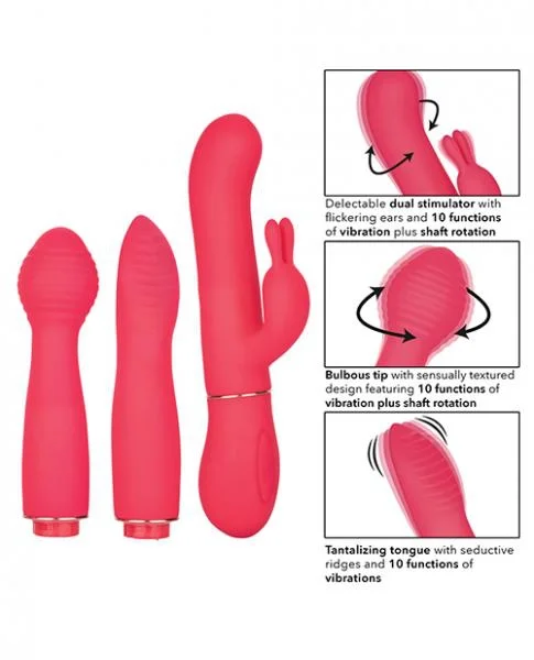 In Touch Dynamic Trio Pink Vibrator Kit — image 4 of 8
