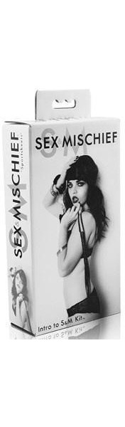 Sex & Mischief Intro to S & M Kit