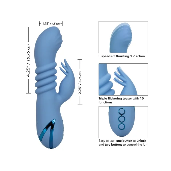 California Dreaming Santa Cruz Coaster