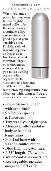 Silver Metal Bullet Vibrator