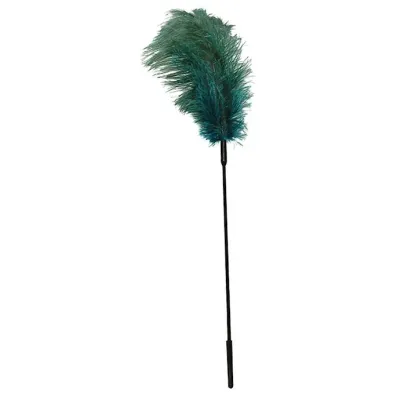 Turquoise Feather Turquoise