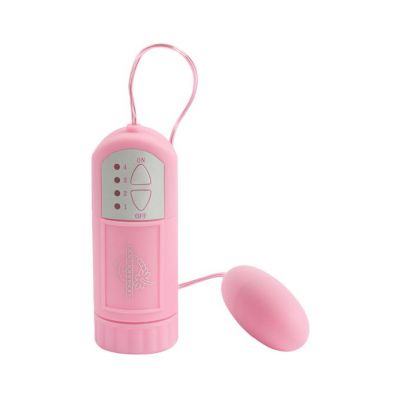 Naughty Secrets Inner Desire Pink