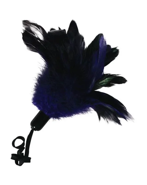 Sexperiments Bound And Determined - Black